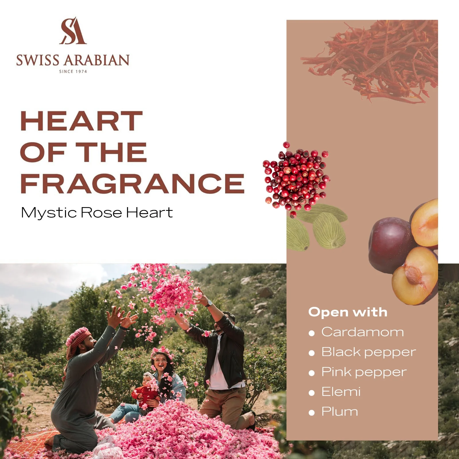 ENIGMA OF TAIF - Image 5