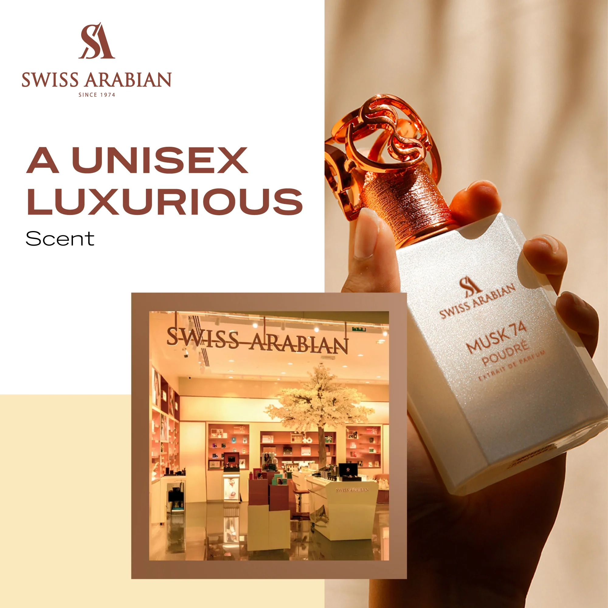 MUSK 74 POUDRÉ - Image 4