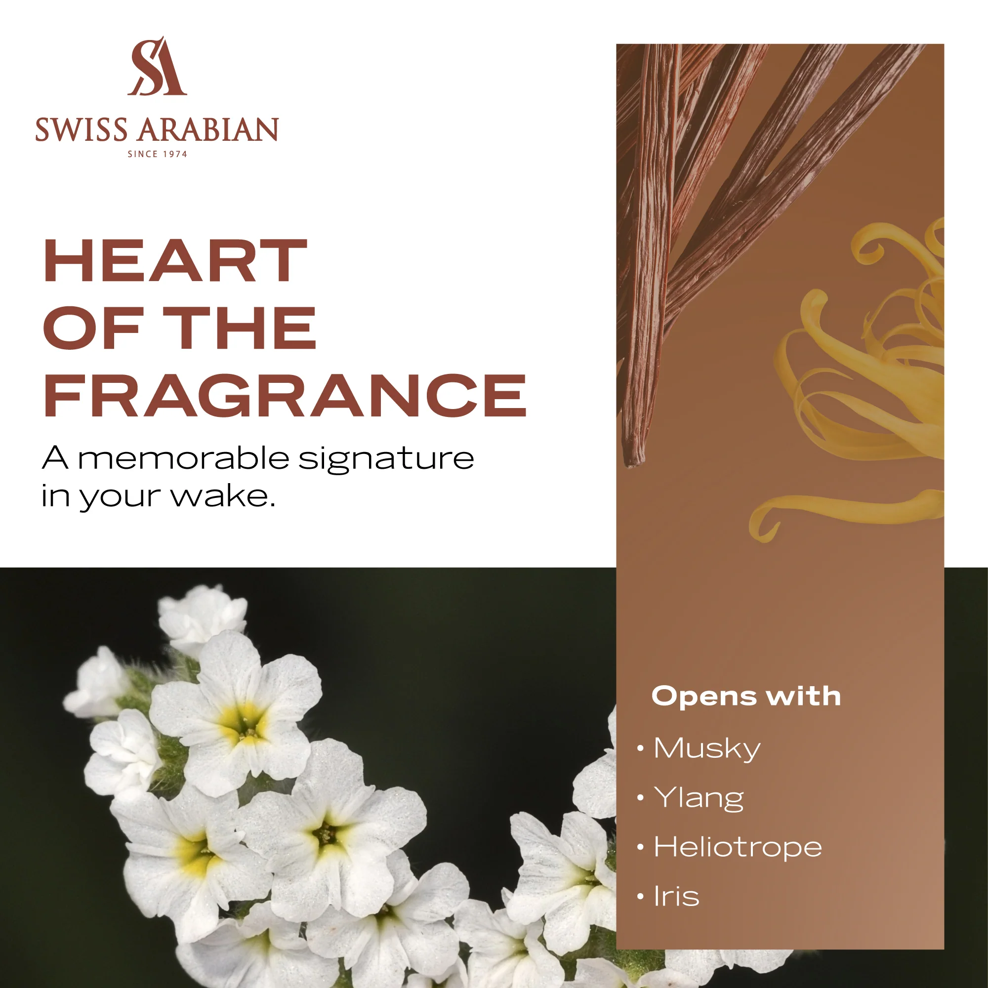 MUSK 74 POUDRÉ - Image 5