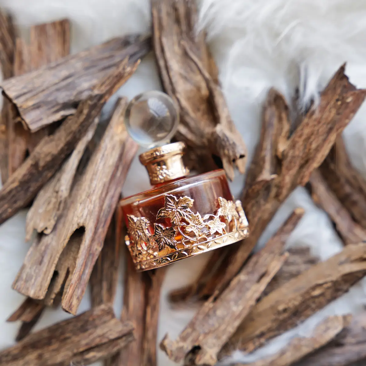 ROSE MALAKI - Image 7