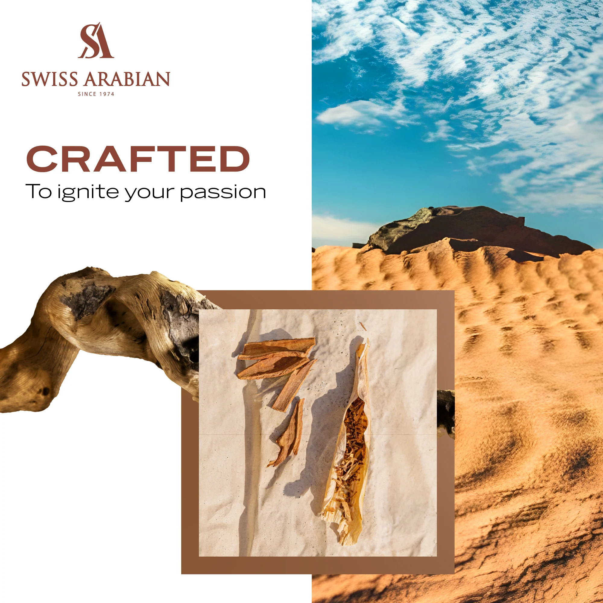 SHAGHAF OUD - Image 6