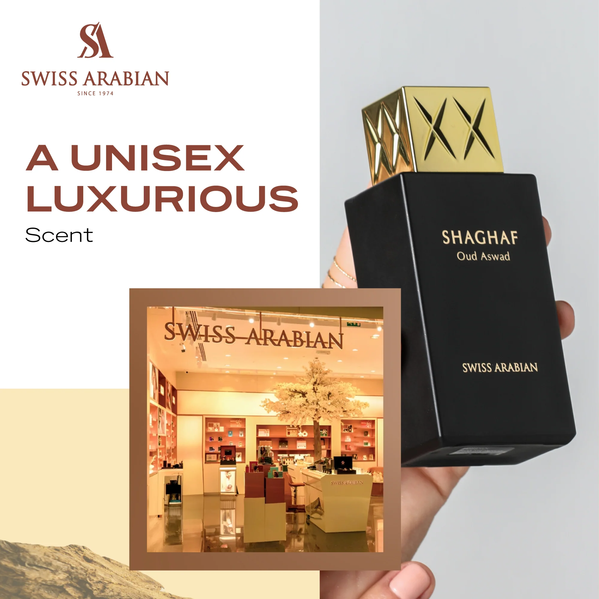 SHAGHAF OUD ASWAD - Image 4