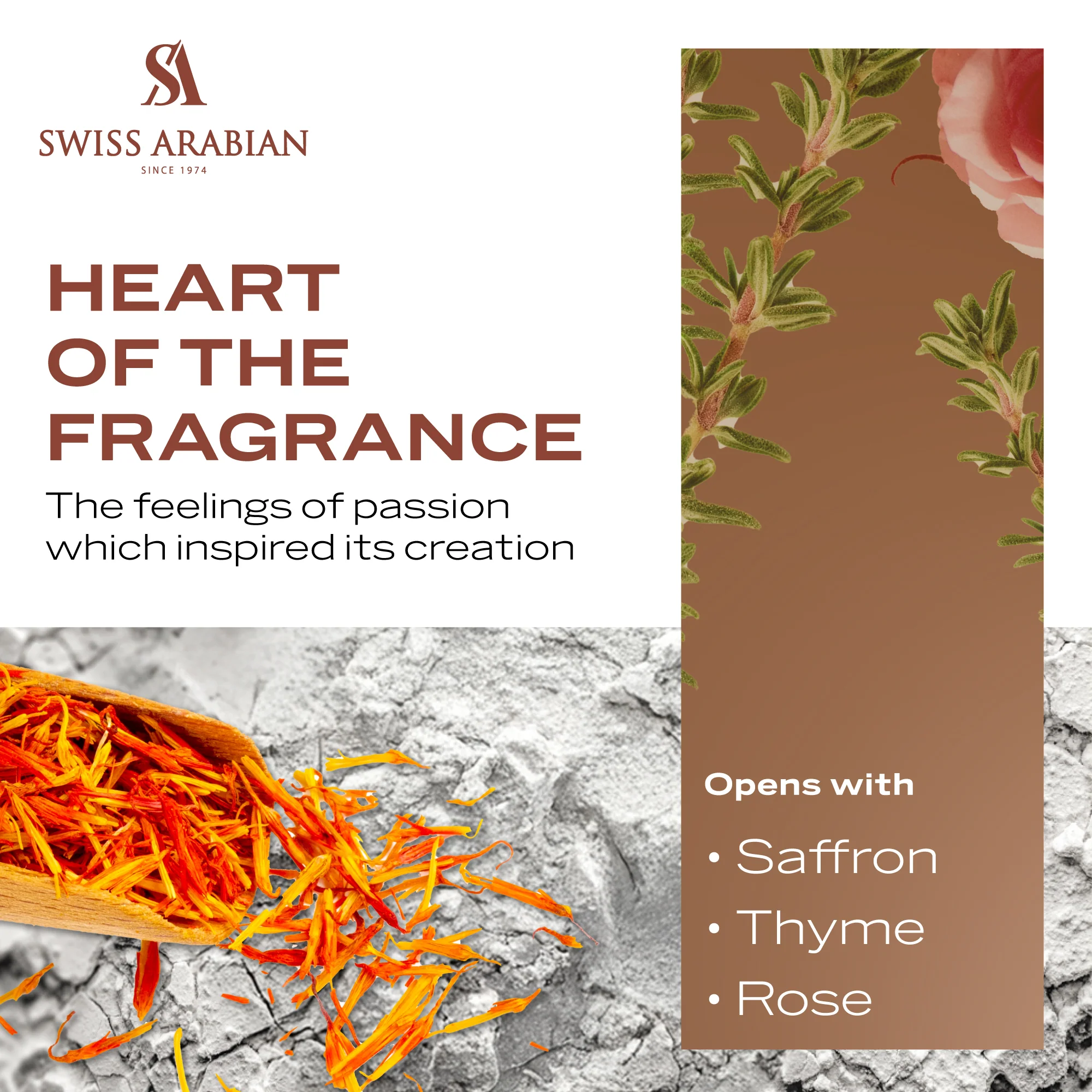 SHAGHAF OUD ASWAD - Image 5