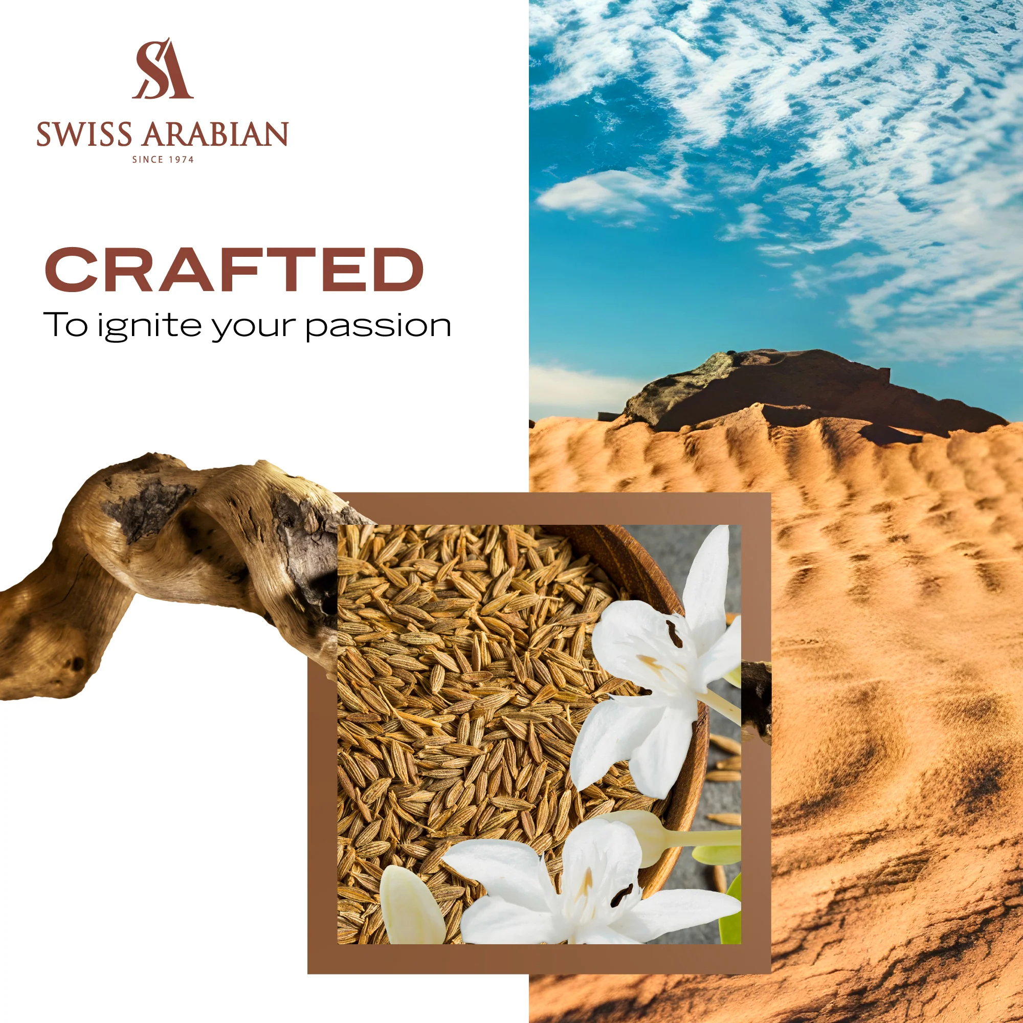 SHAGHAF OUD ASWAD - Image 6