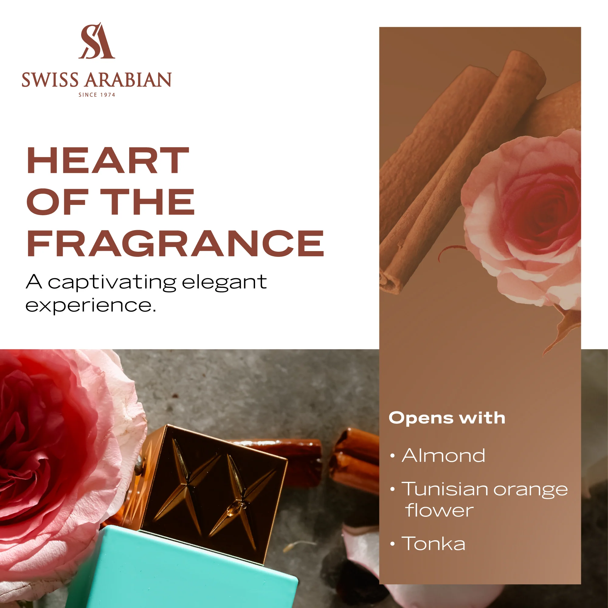 SHAGHAF OUD TONKA - Image 6