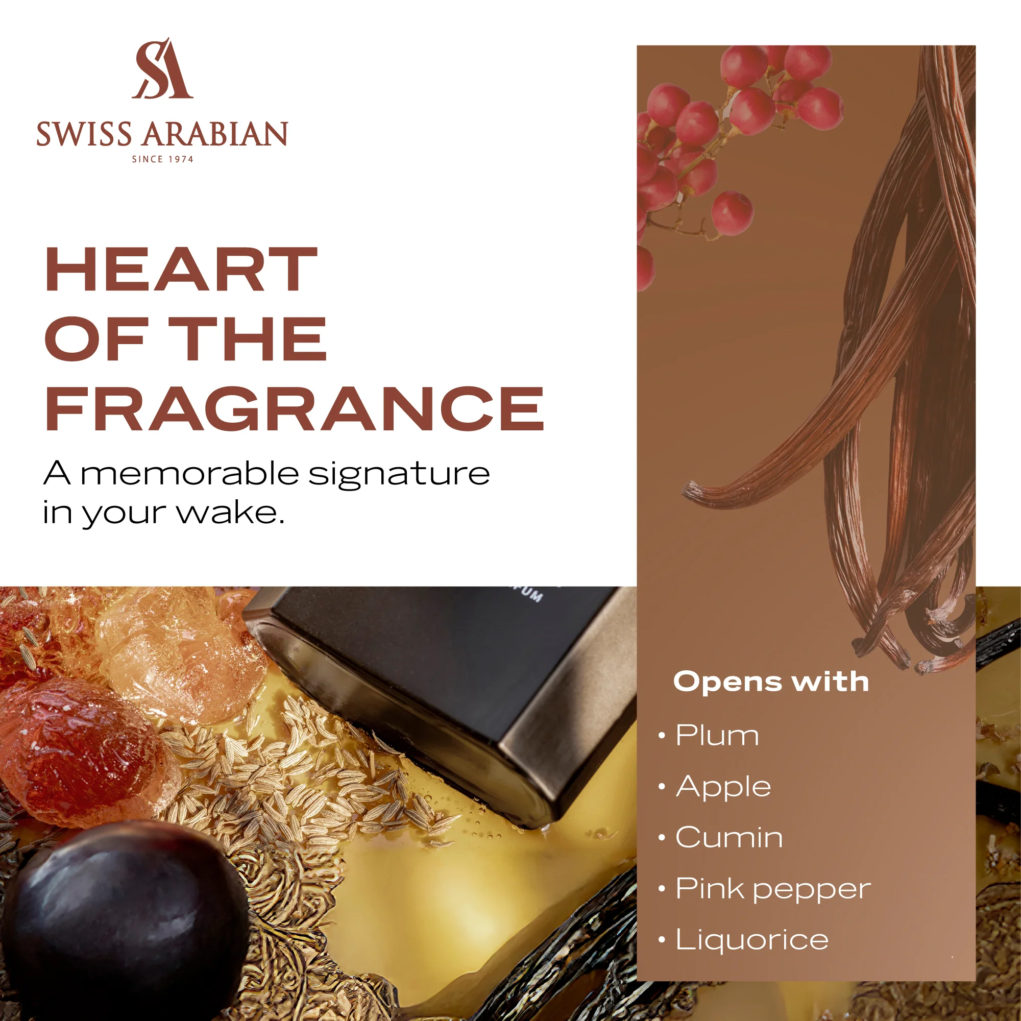 TOBACCO 01 - Image 5