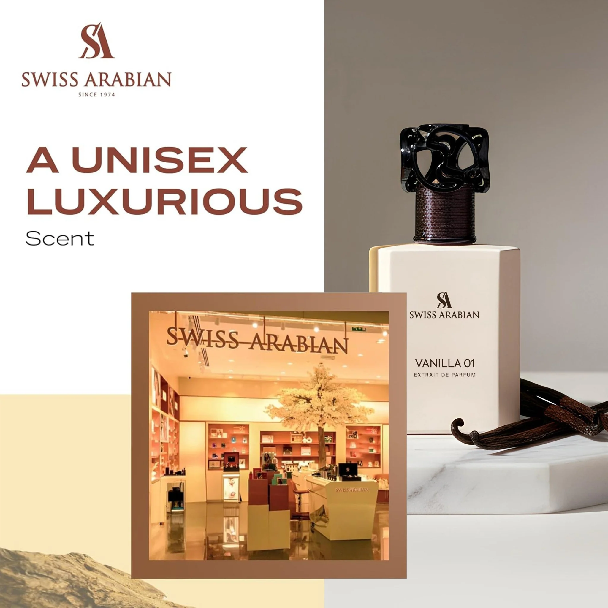 VANILLA 01 - Image 4